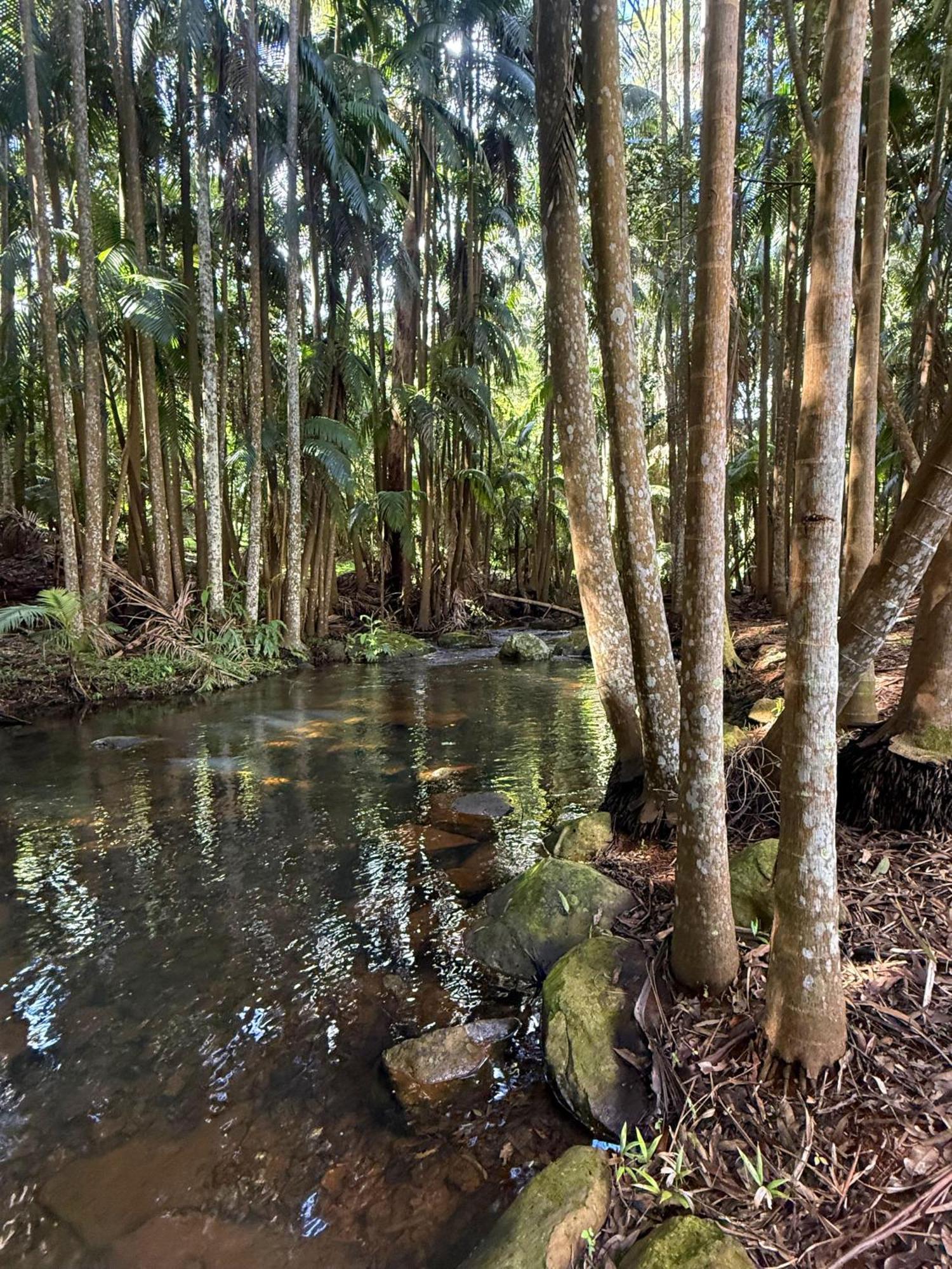 Mt Tamborine Stonehaven Manor Hotell Guldkusten Exteriör bild